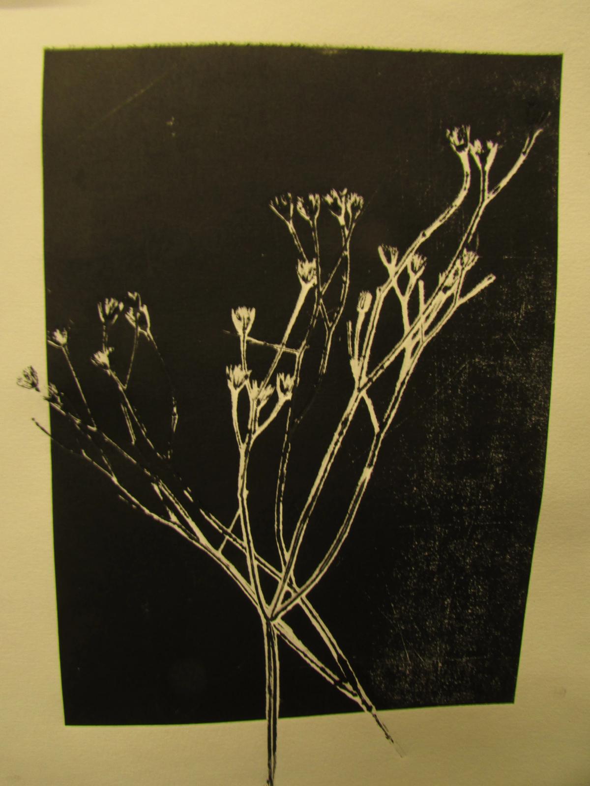 Le monotype