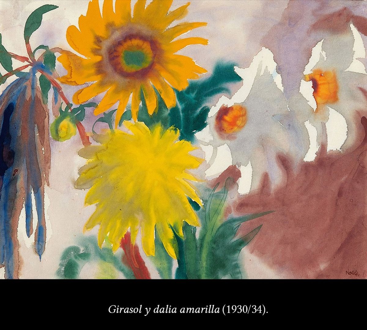 les fleurs de nolde