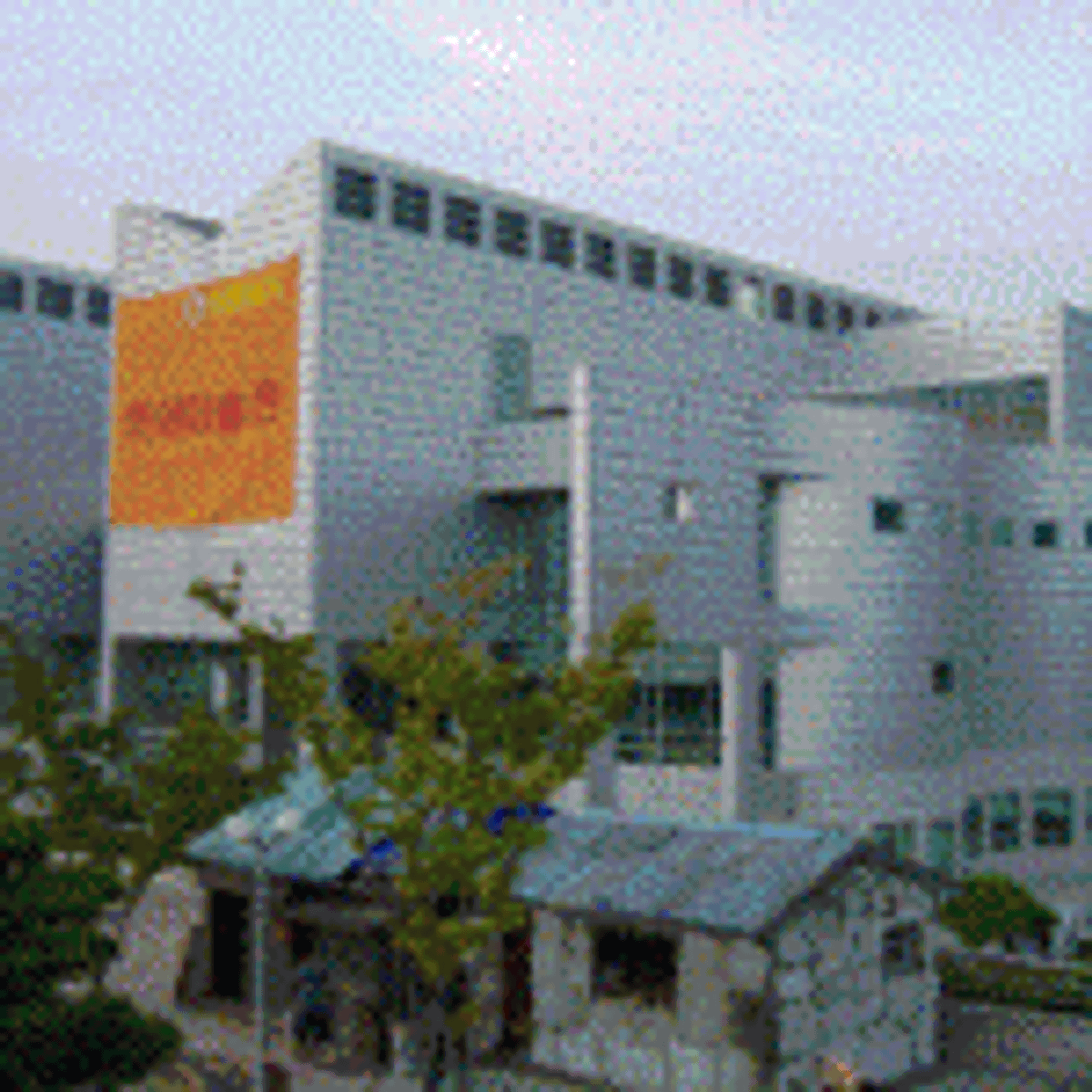 Coalmine Project in Tagawa 2002