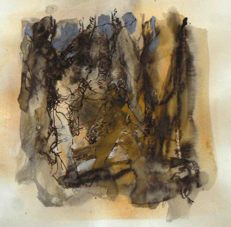  : surpris 13D02 technique mixte environ 30x30