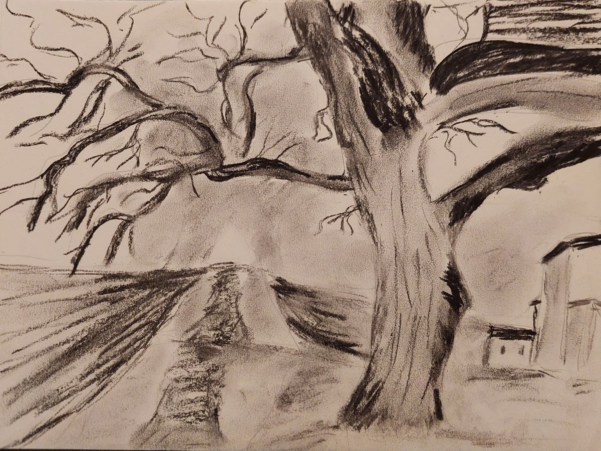 dessin de bonnard