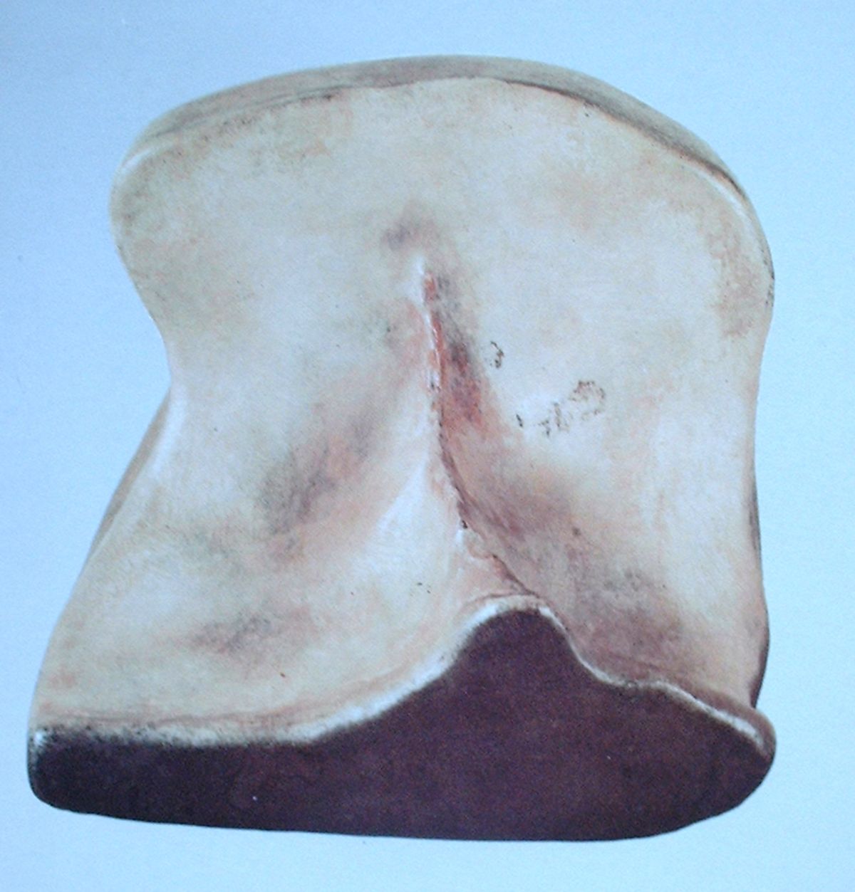 Marcel Duchamp. Feuille de vigne femelle