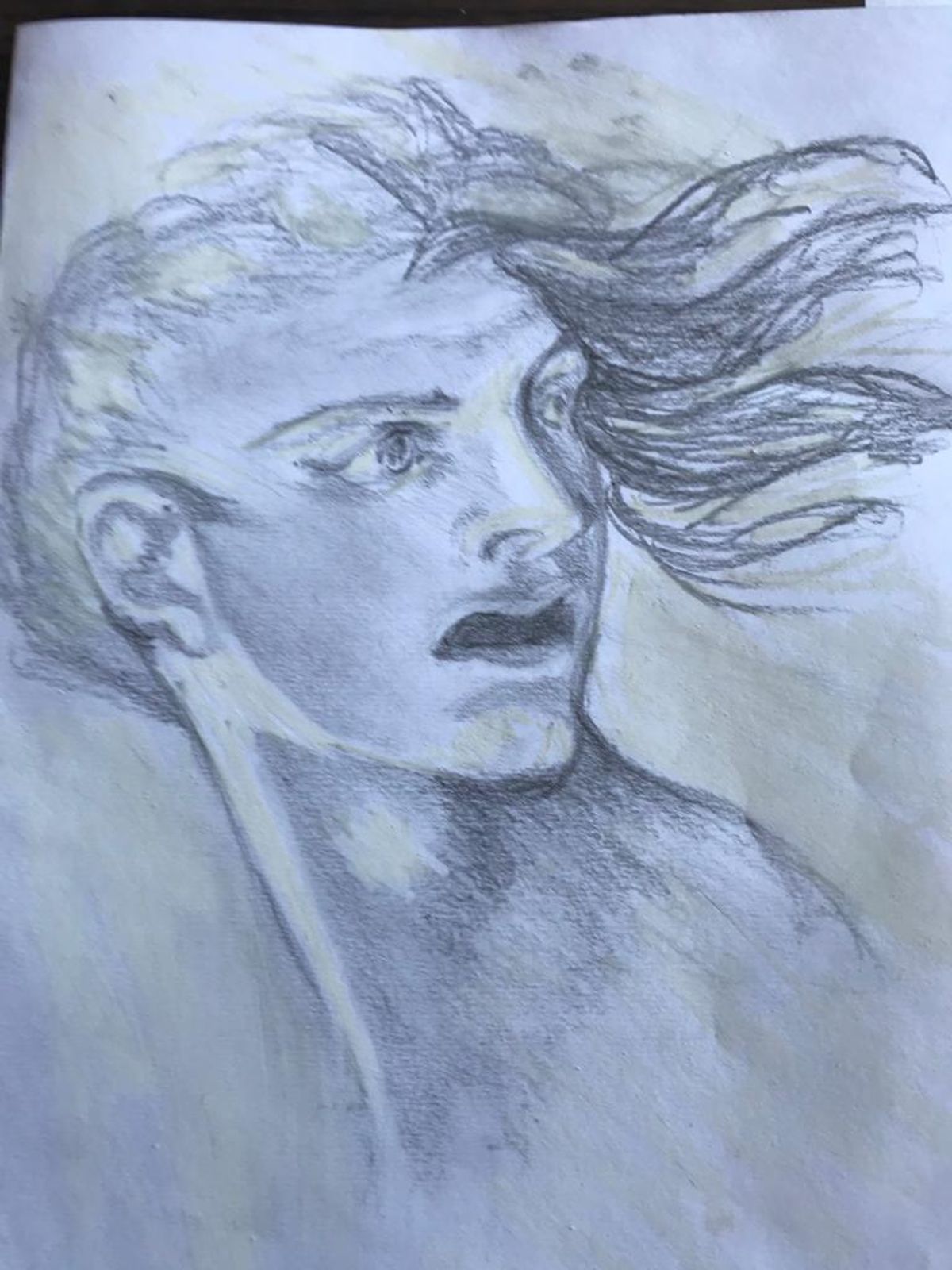 le portrait