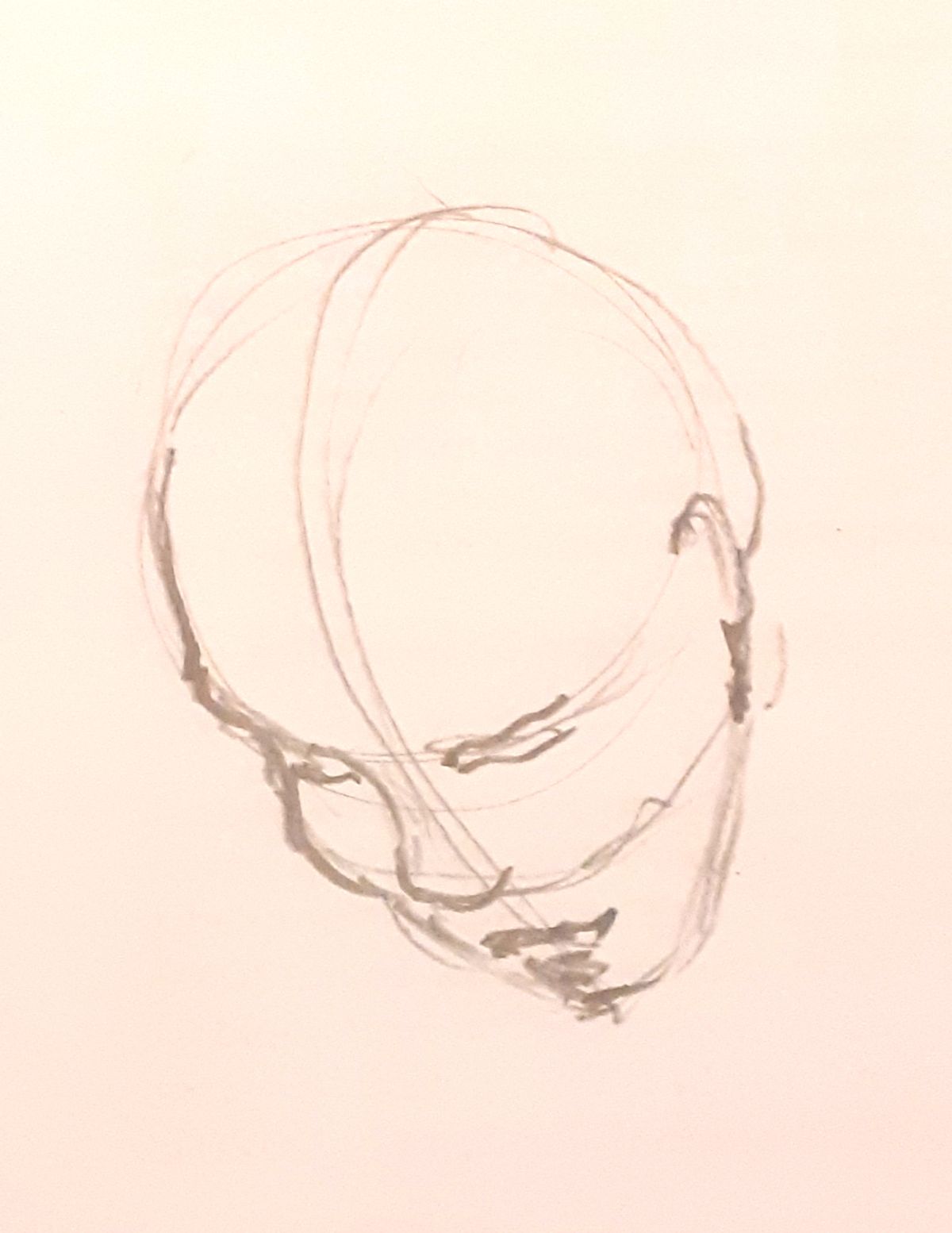 le portrait