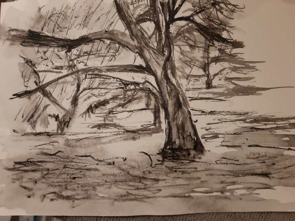dessin de bonnard