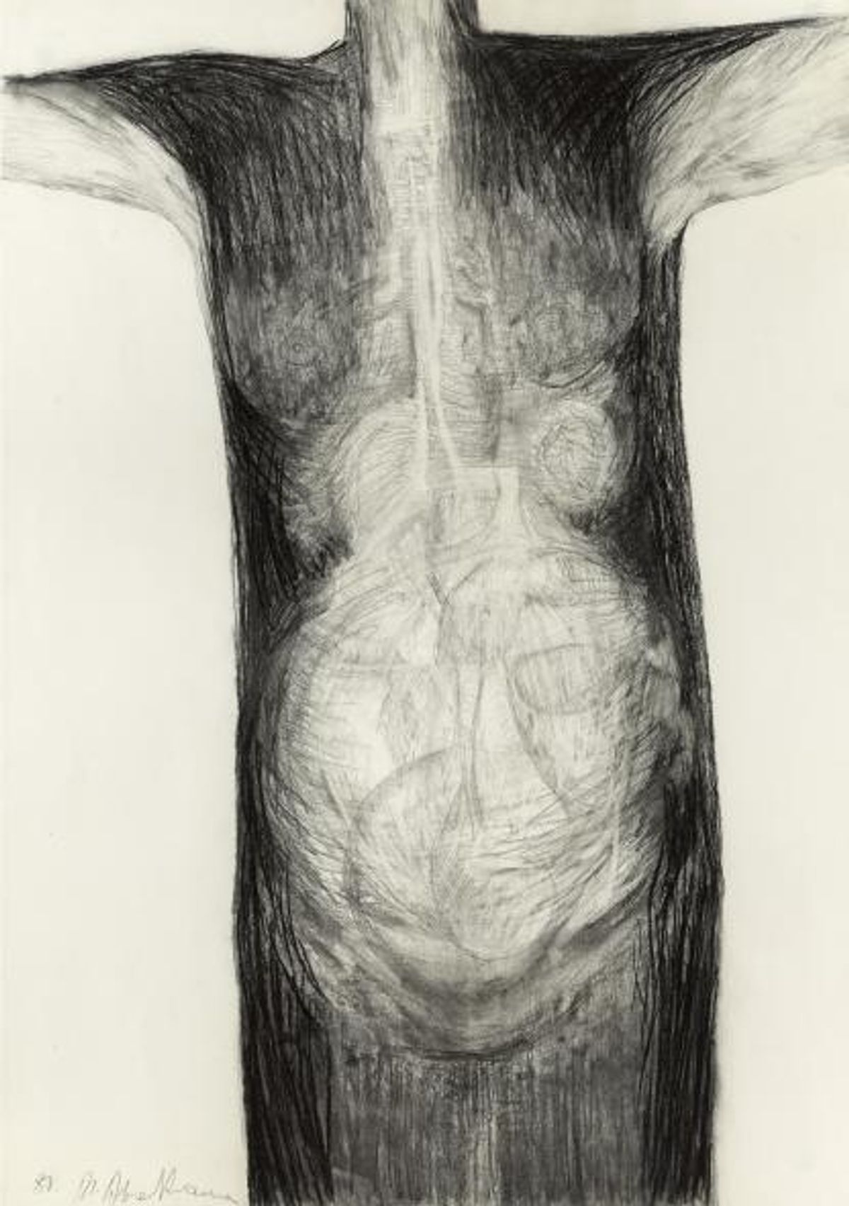 "torso"