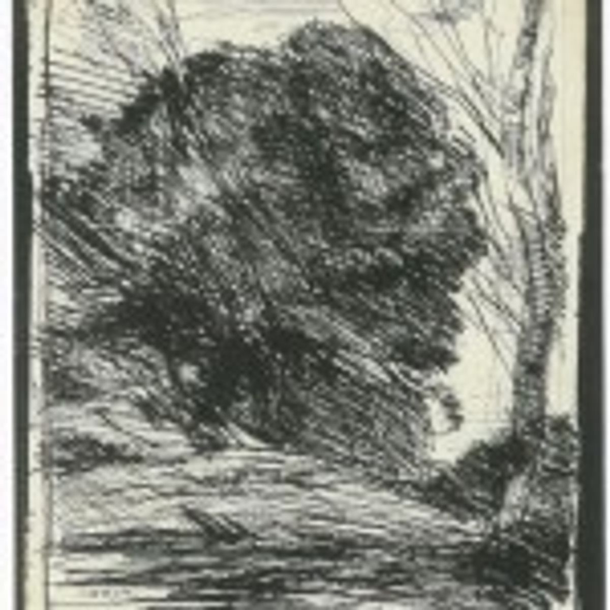« Arbres dans la montagne », Cliché-verre de Corot