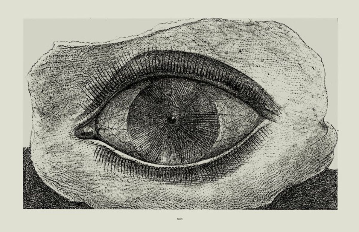 « la roue de lumière » de Max Ernst. Planche 29