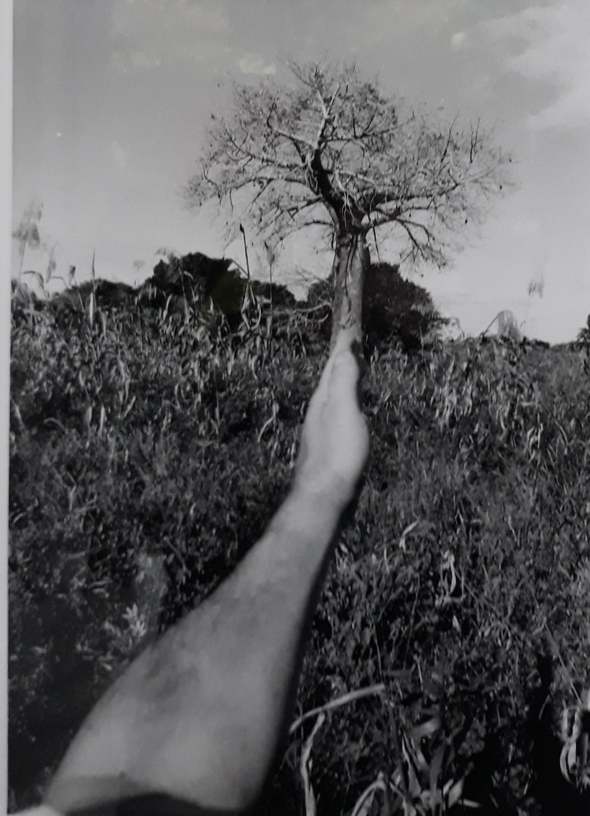 "Cabo Delgado. tete ».José cabral. 2002. tirage argentique