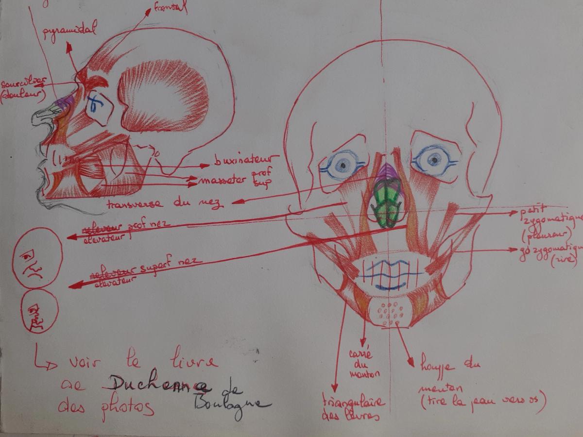 les expressions
