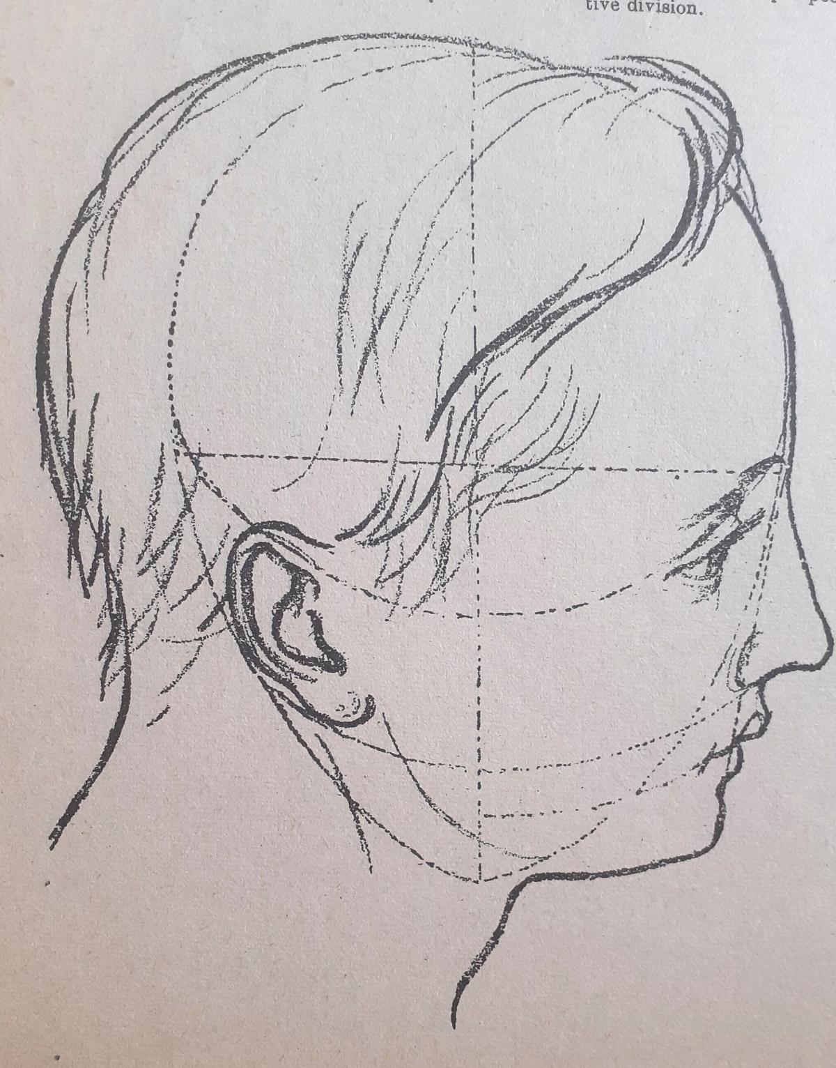 le portrait
