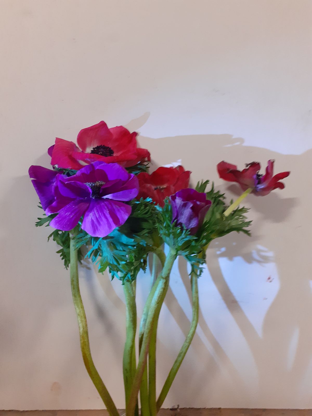 les fleurs de nolde