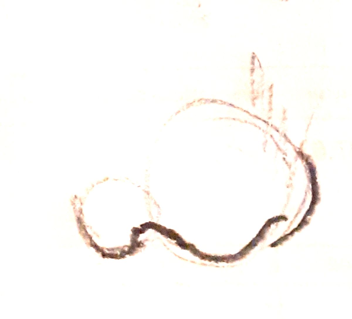 le portrait