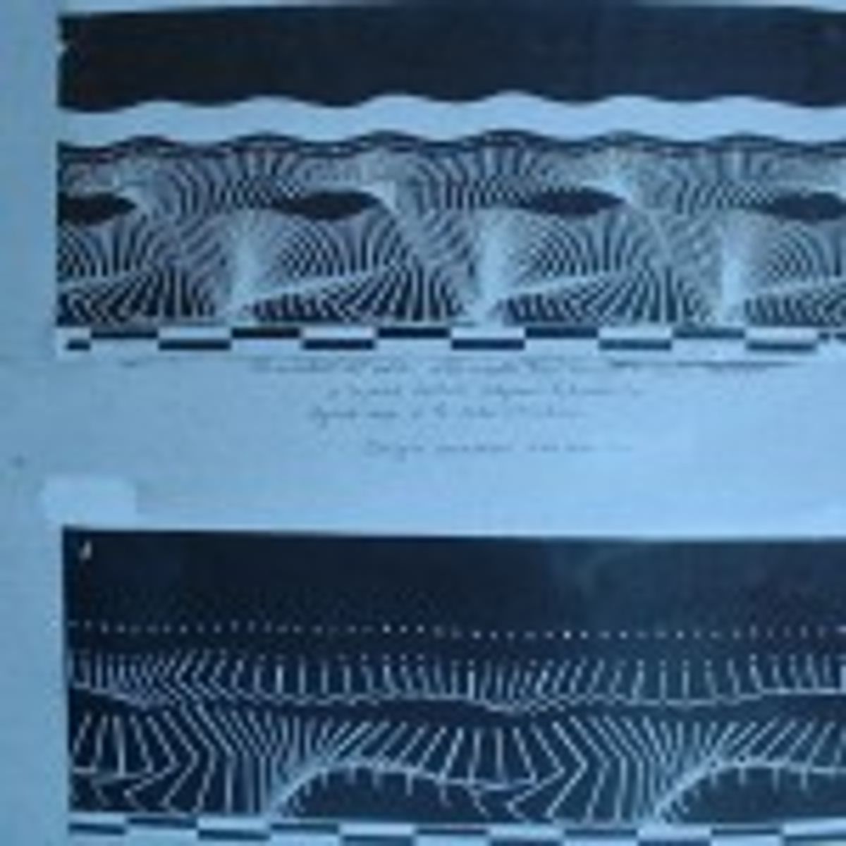 marey. chronophotographies de la locomotion humaine. 86