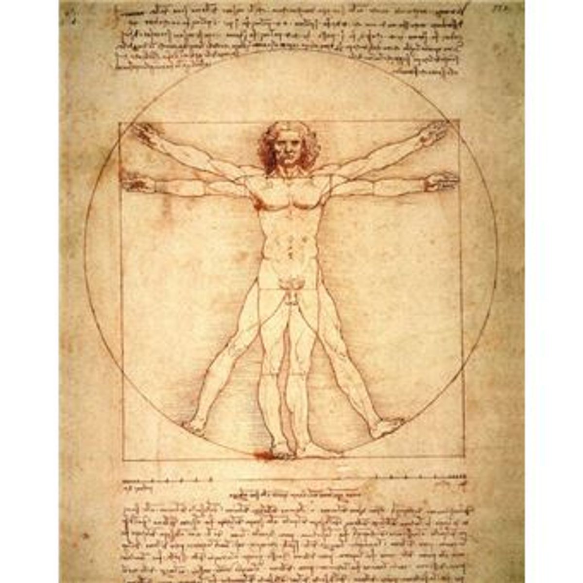 Leonardo Da Vinci « Homme De Vitruve » .Vers 1490