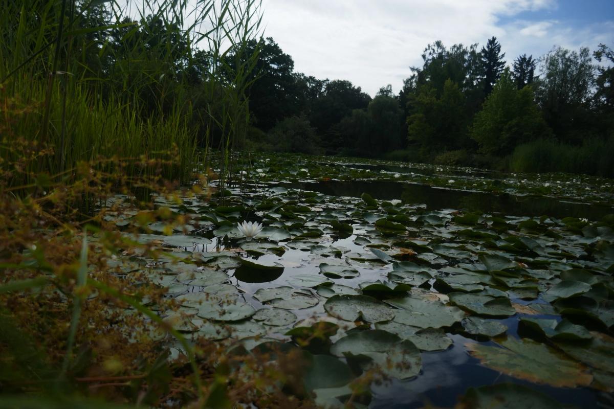 jardin botanique de Munich