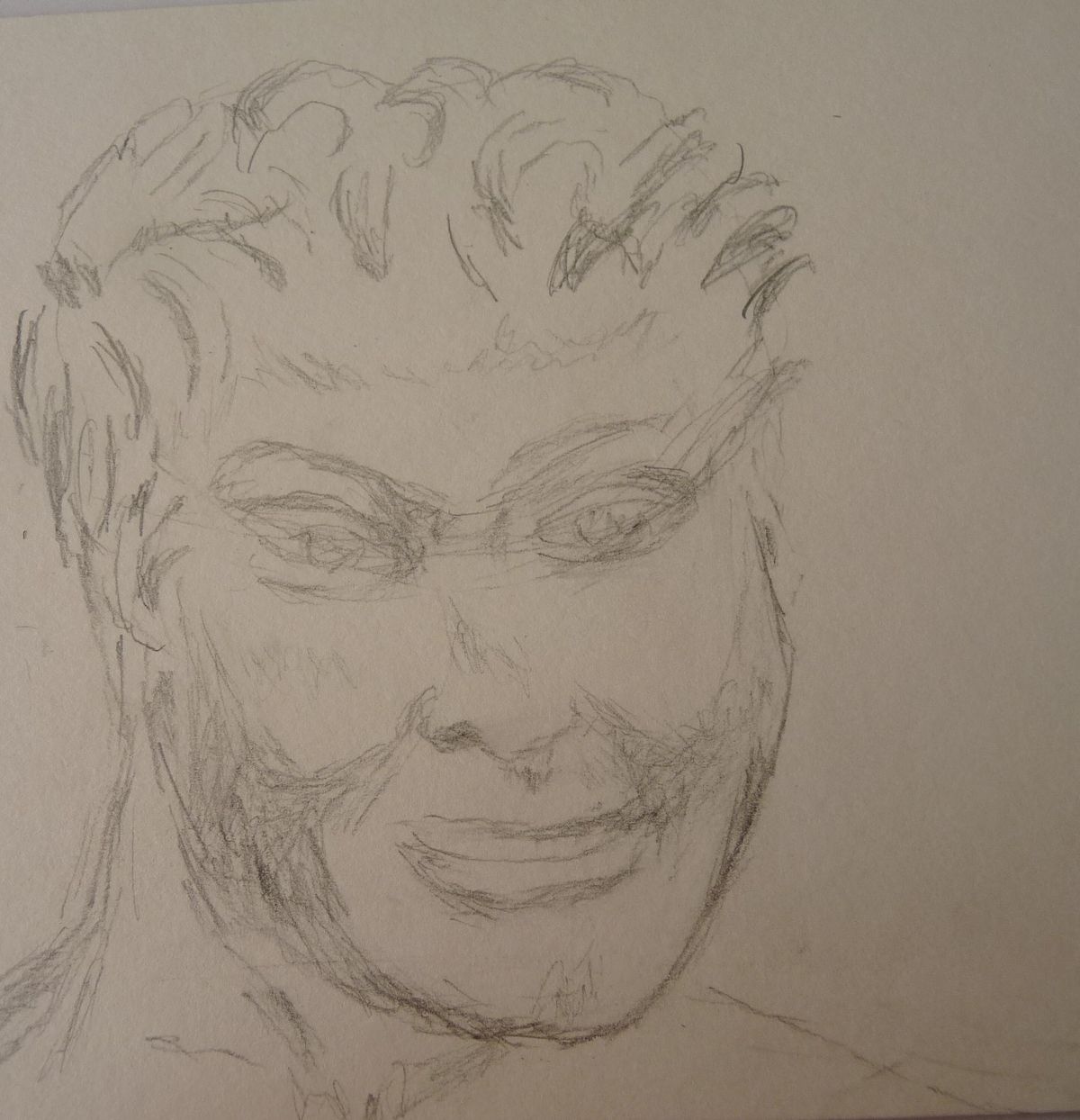 le portrait