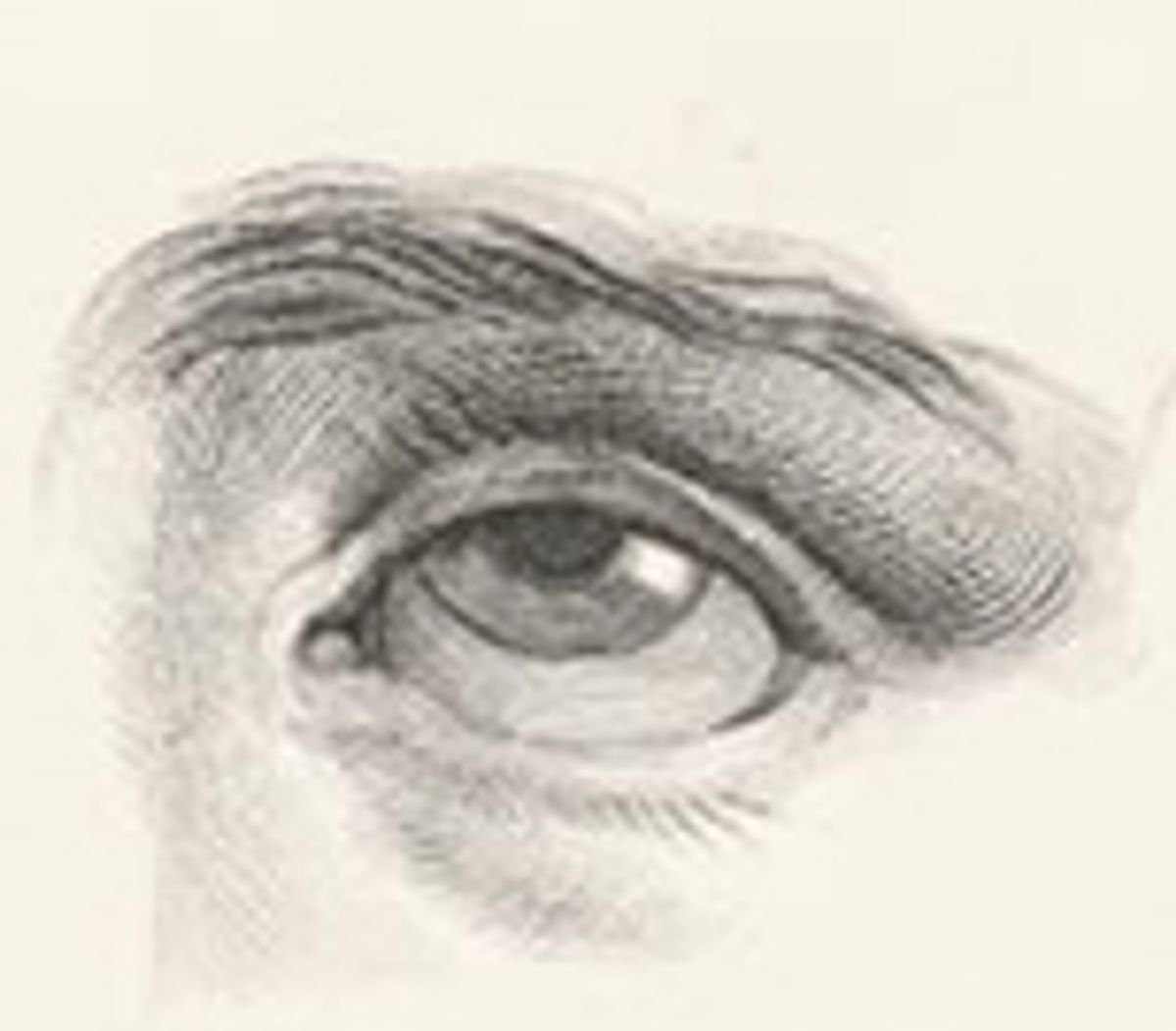 le portrait