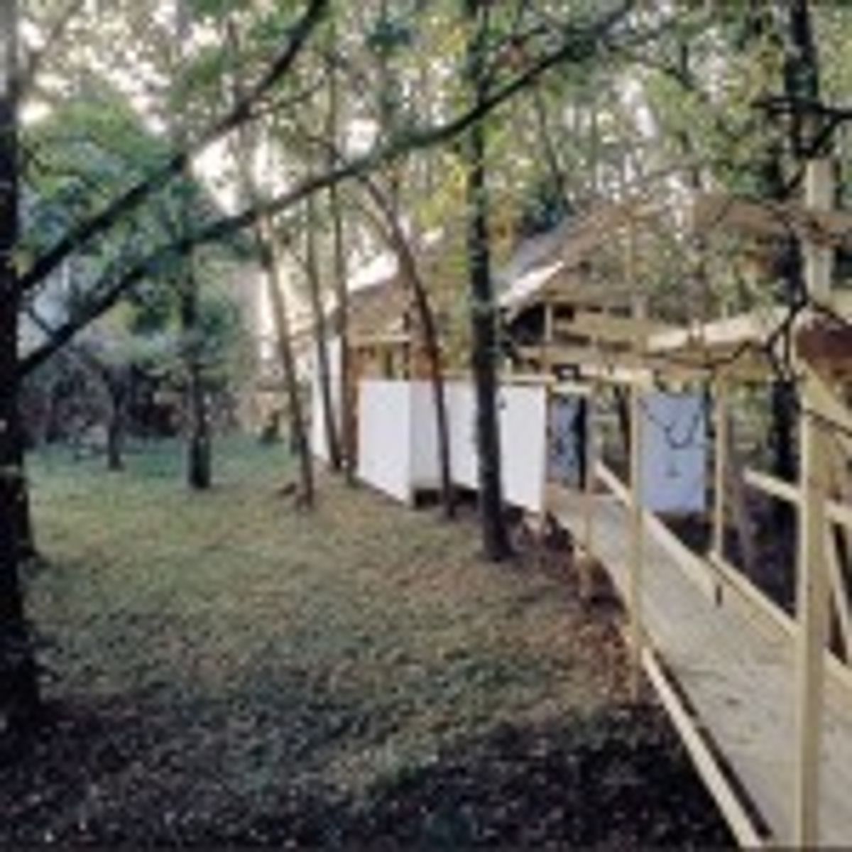 « Transfert » (Saché-1993)