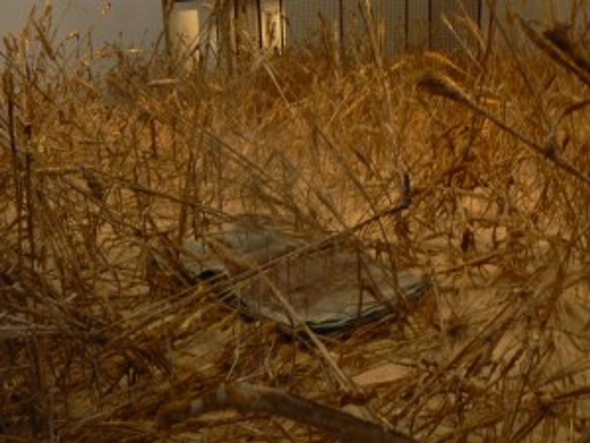 « Morgenthau Plan » d’Anselm Kiefer à la galerie Gagosian jusqu’au 26 janvier 2013