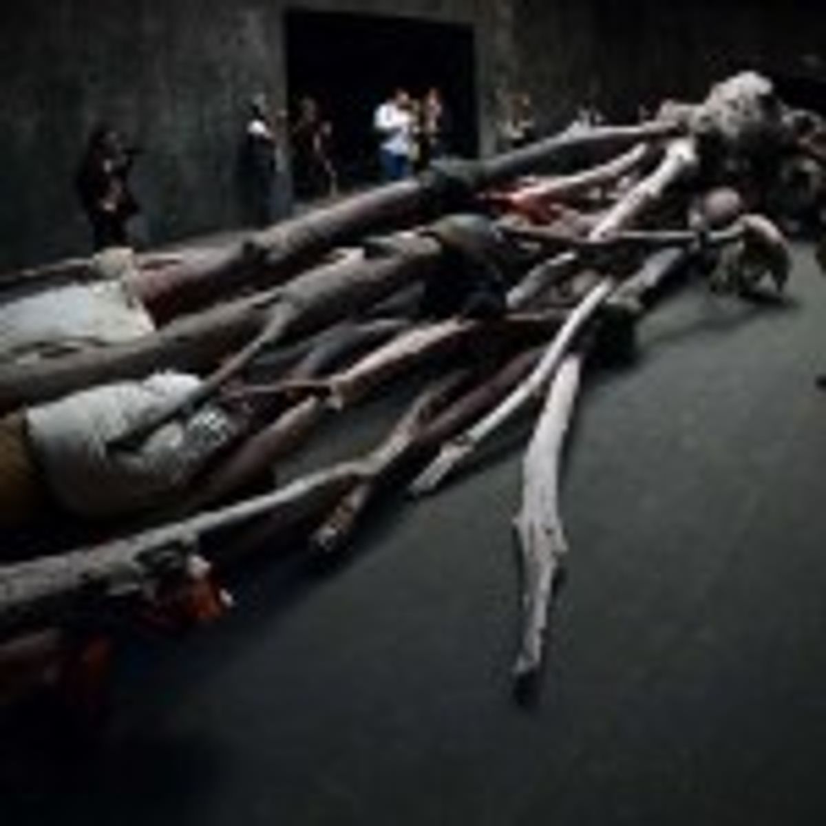 Biennale de Venise Jusqu’au 24 novembre 2013