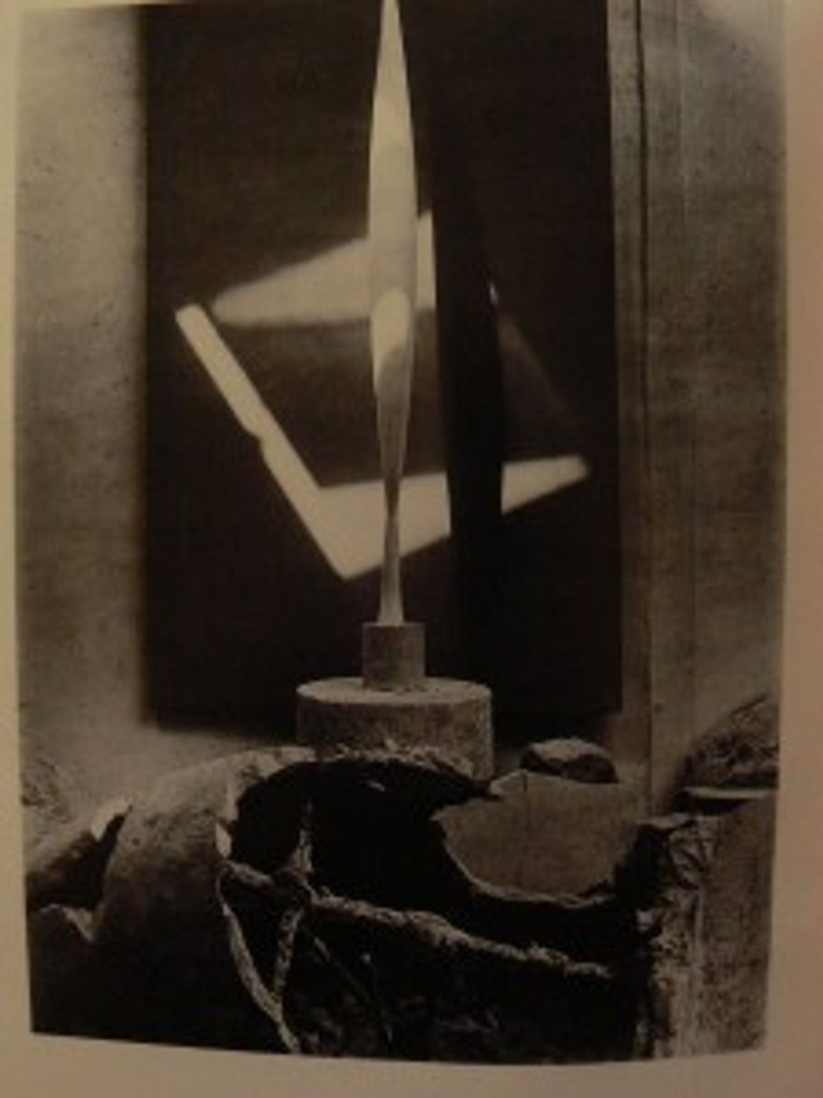brancusi.oiseau dans l'espace. vers25
