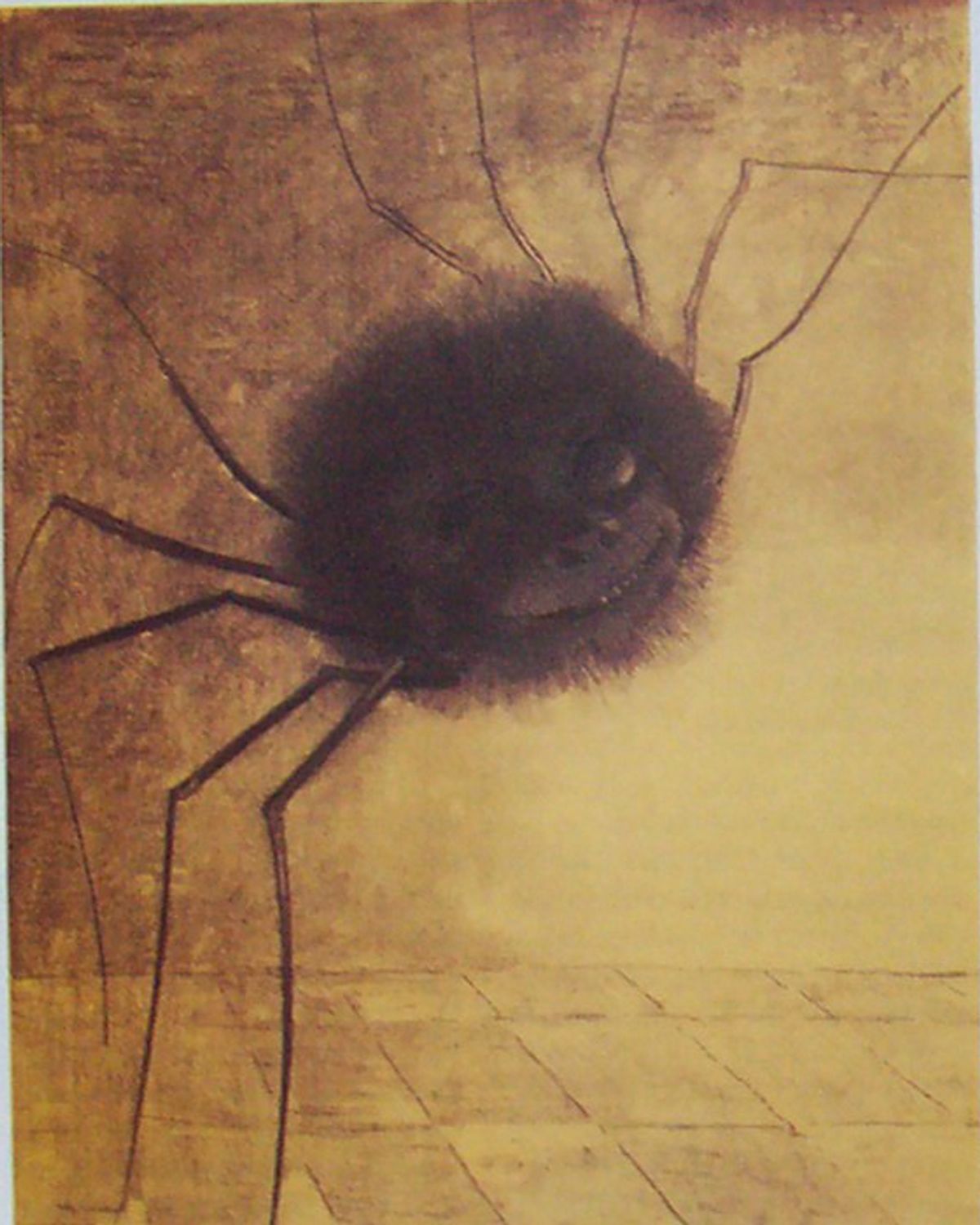 Redon "l'araignée" (1881)