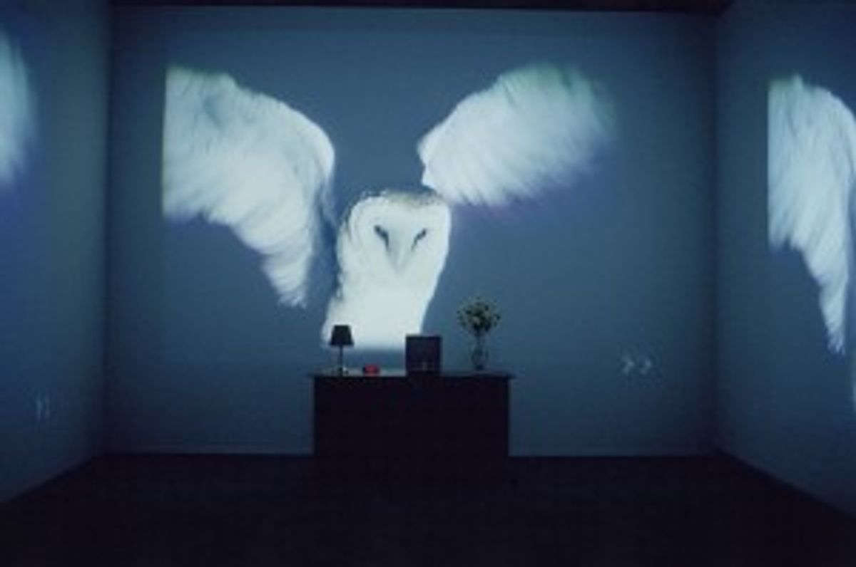 the sleep of reason. 1988