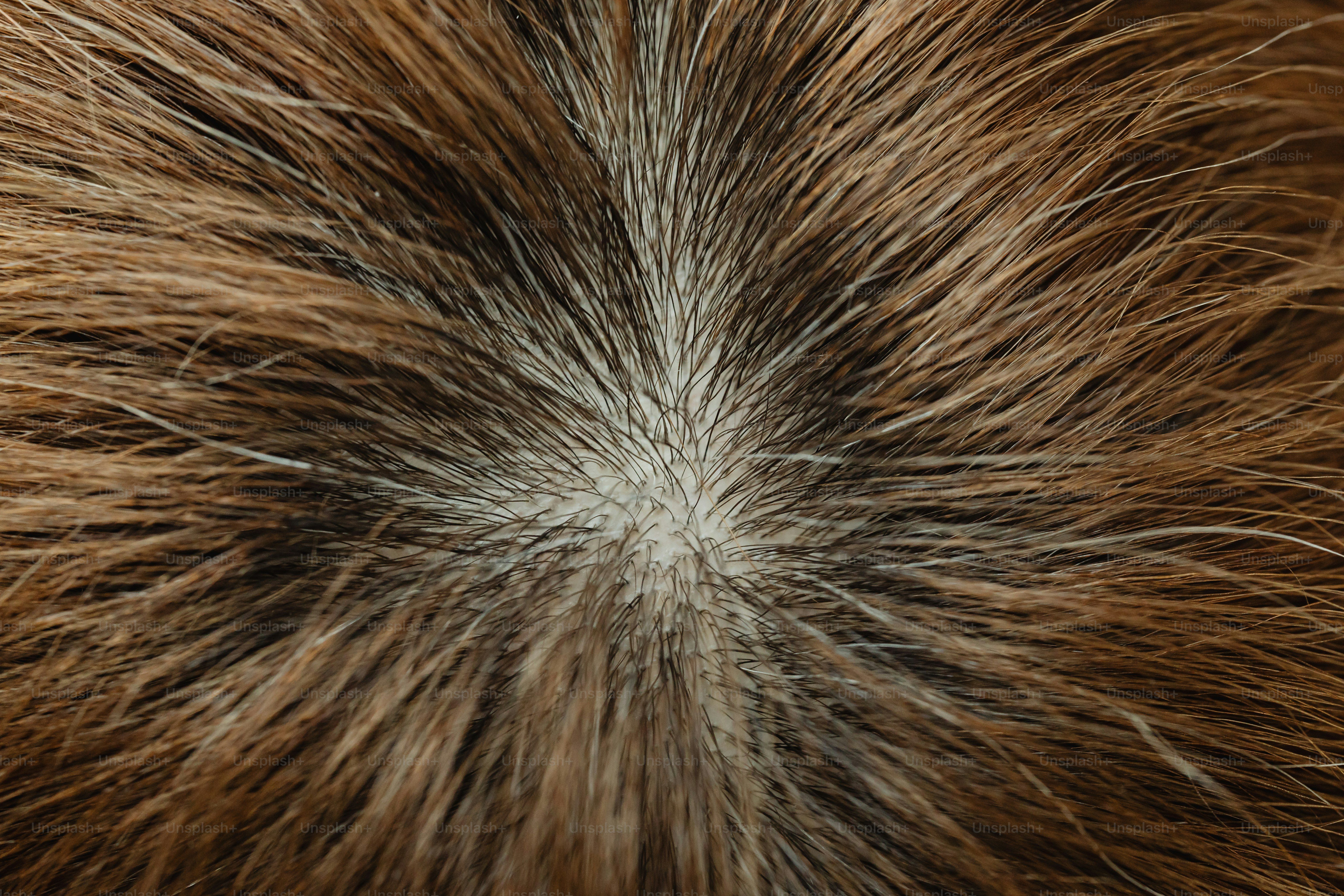 First hair system: what to know before you buy