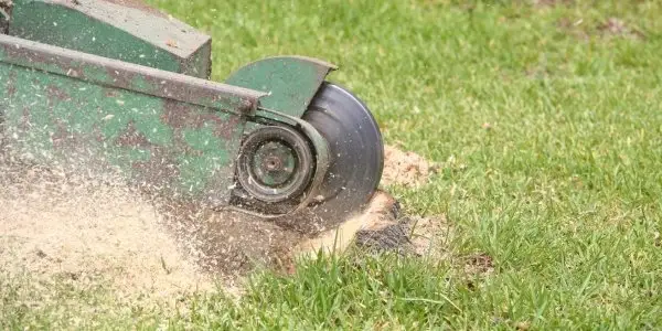 vancouver stump grinding