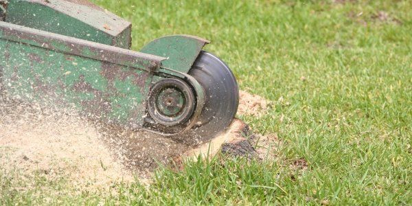 vancouver stump grinding