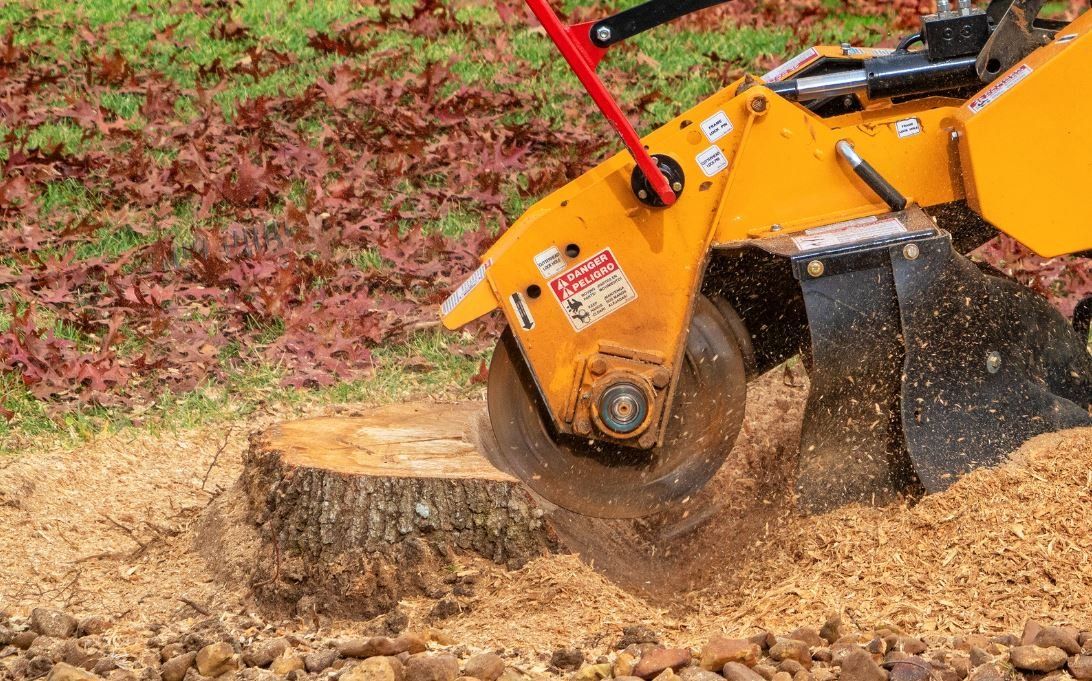 Elevate Your Yard with Expert Stump Grinding