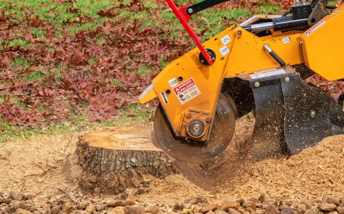 Elevate Your Yard with Expert Stump Grinding