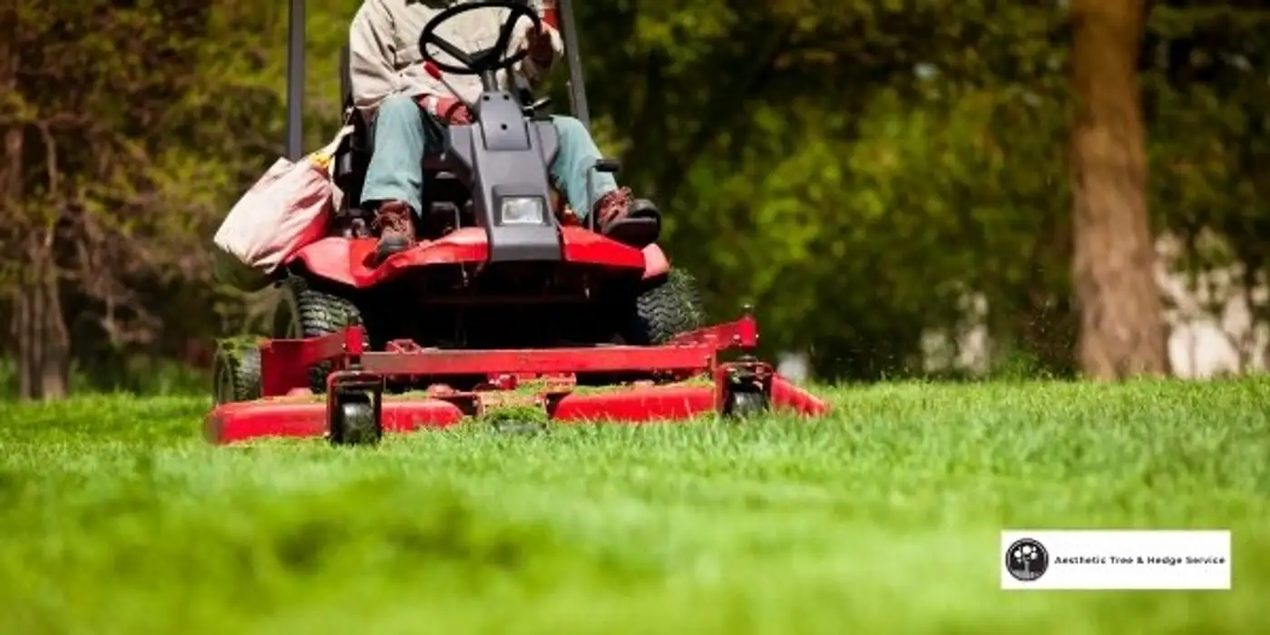 arborist vancouver on a lawn cutting tractor machine to ensure lawn health