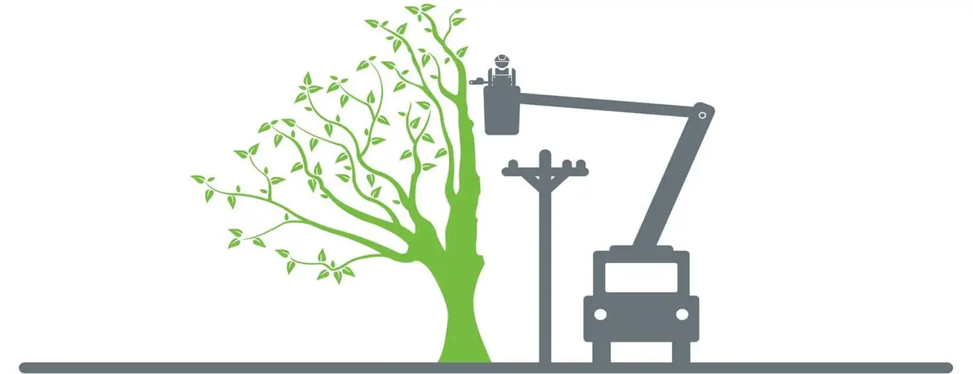 BC Hydro tree trimming clearance near power lines