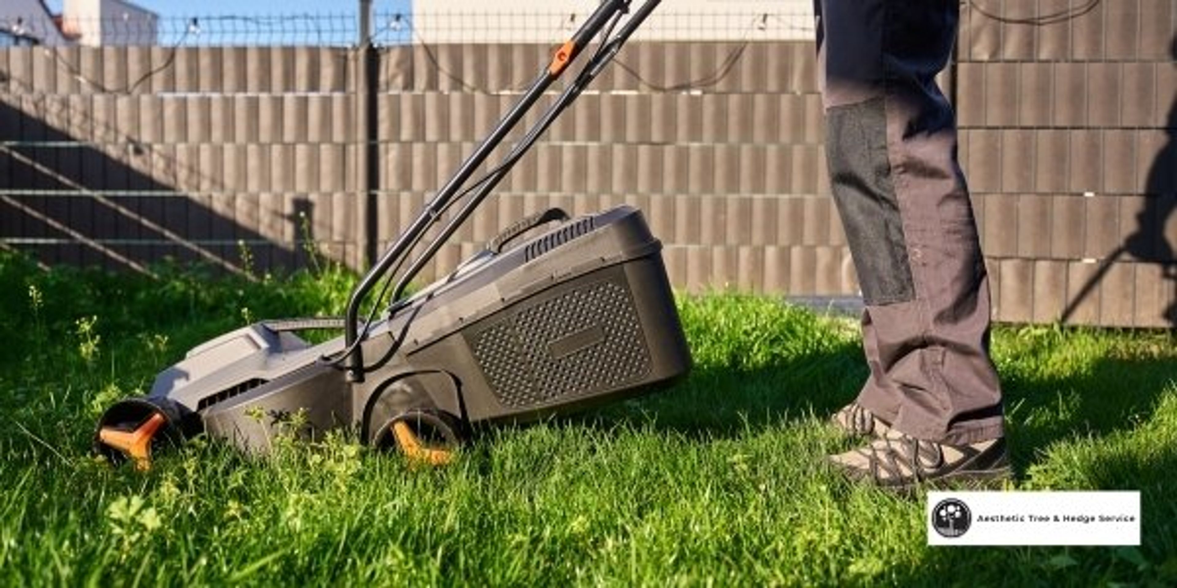 arborist vancouver lawn and garden care