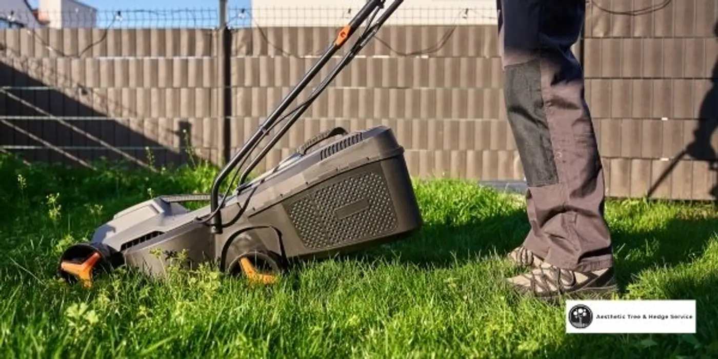 arborist vancouver lawn and garden care