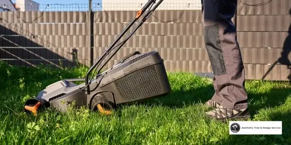 arborist vancouver lawn and garden care