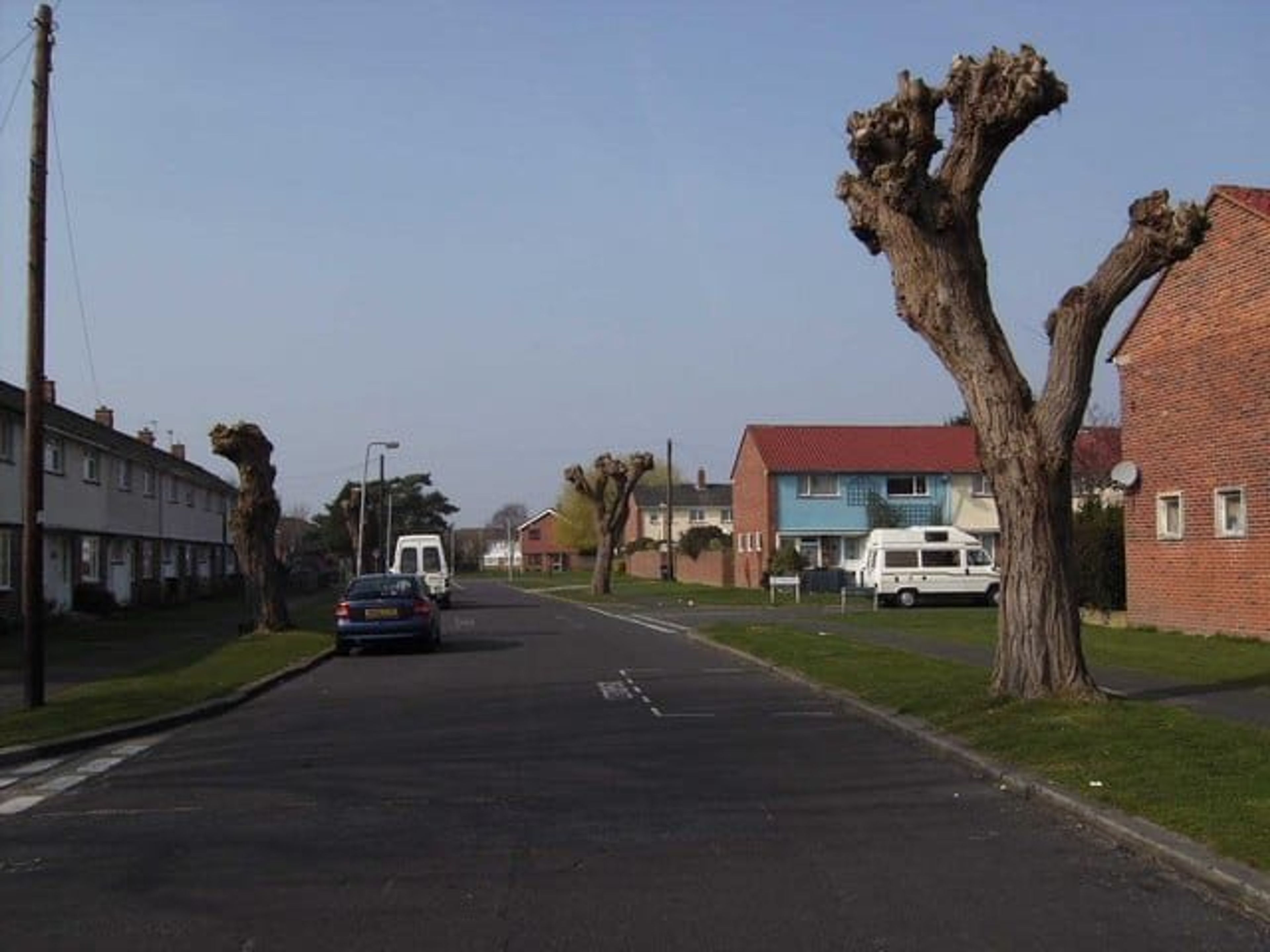 Topped trees in Brading Avenue   geograph.org .uk   1226503