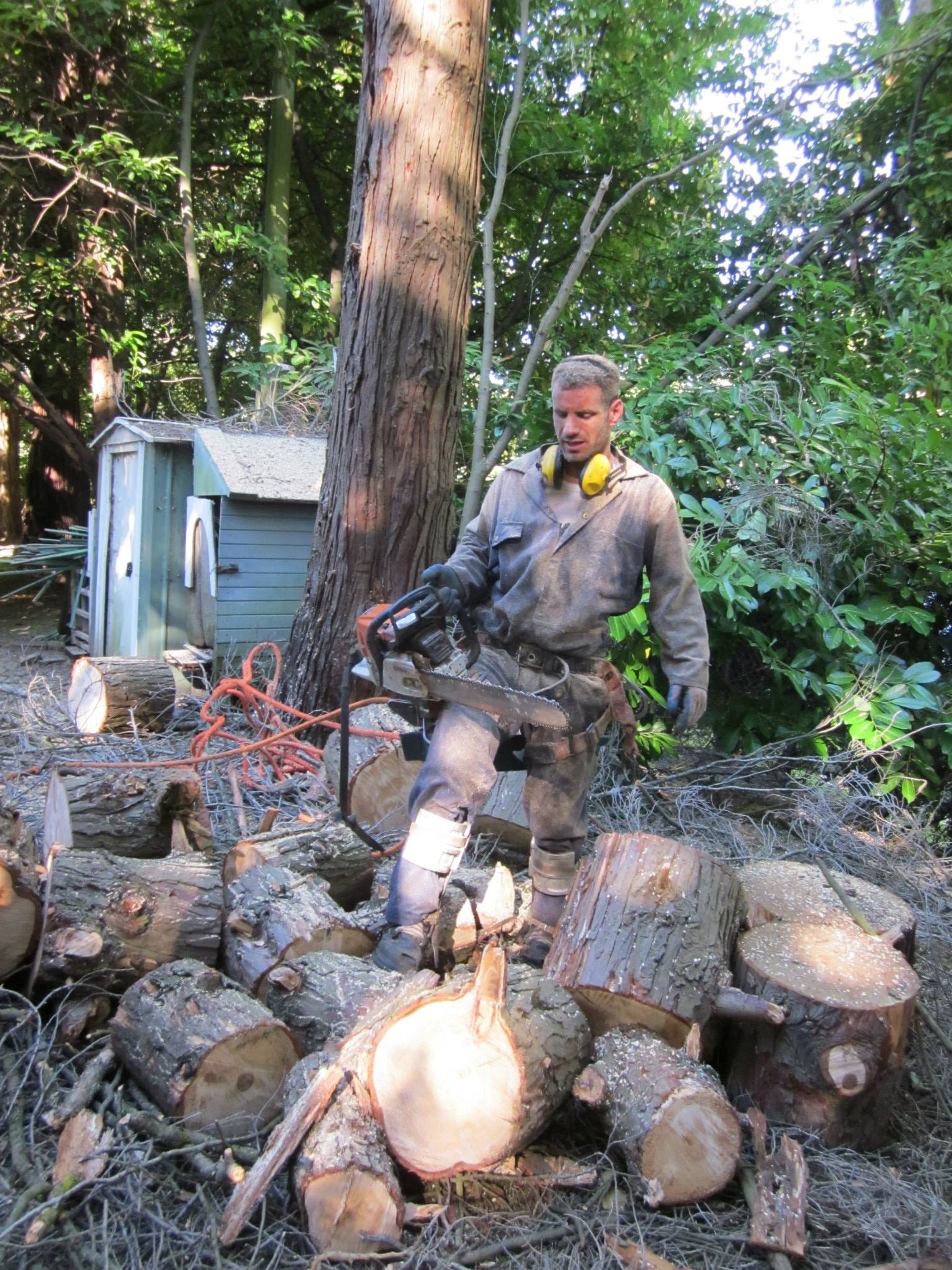 arborist ground crew log pile vancouver — arborist work in British Columbia