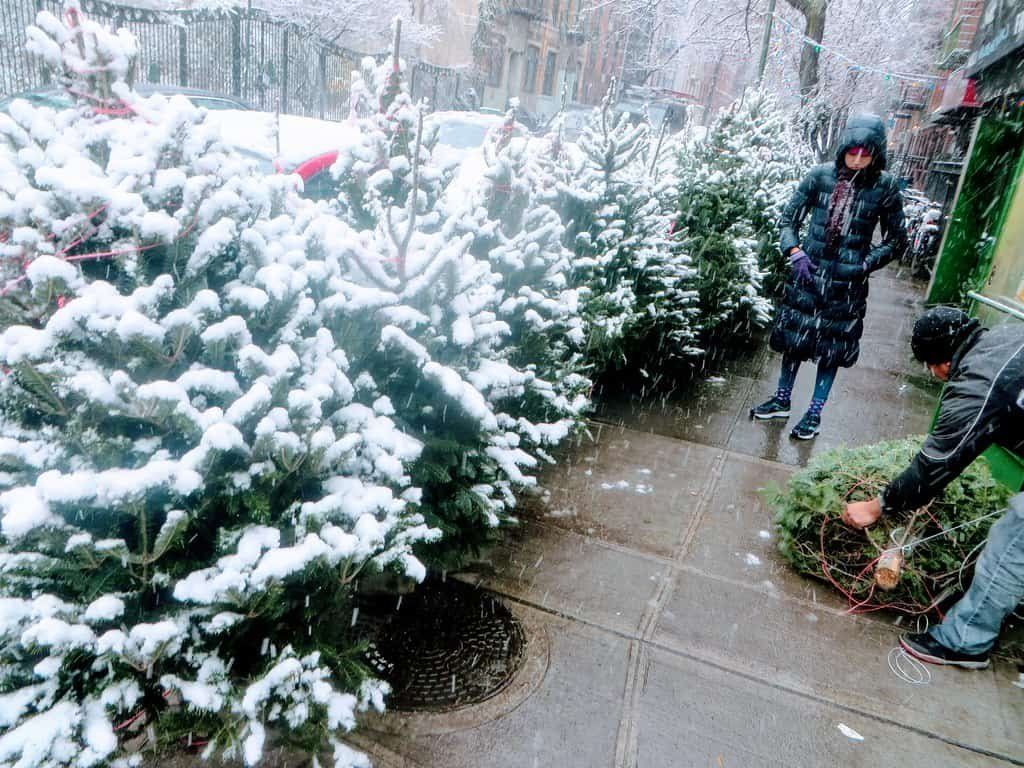 38972010861 44e2e04ffc b