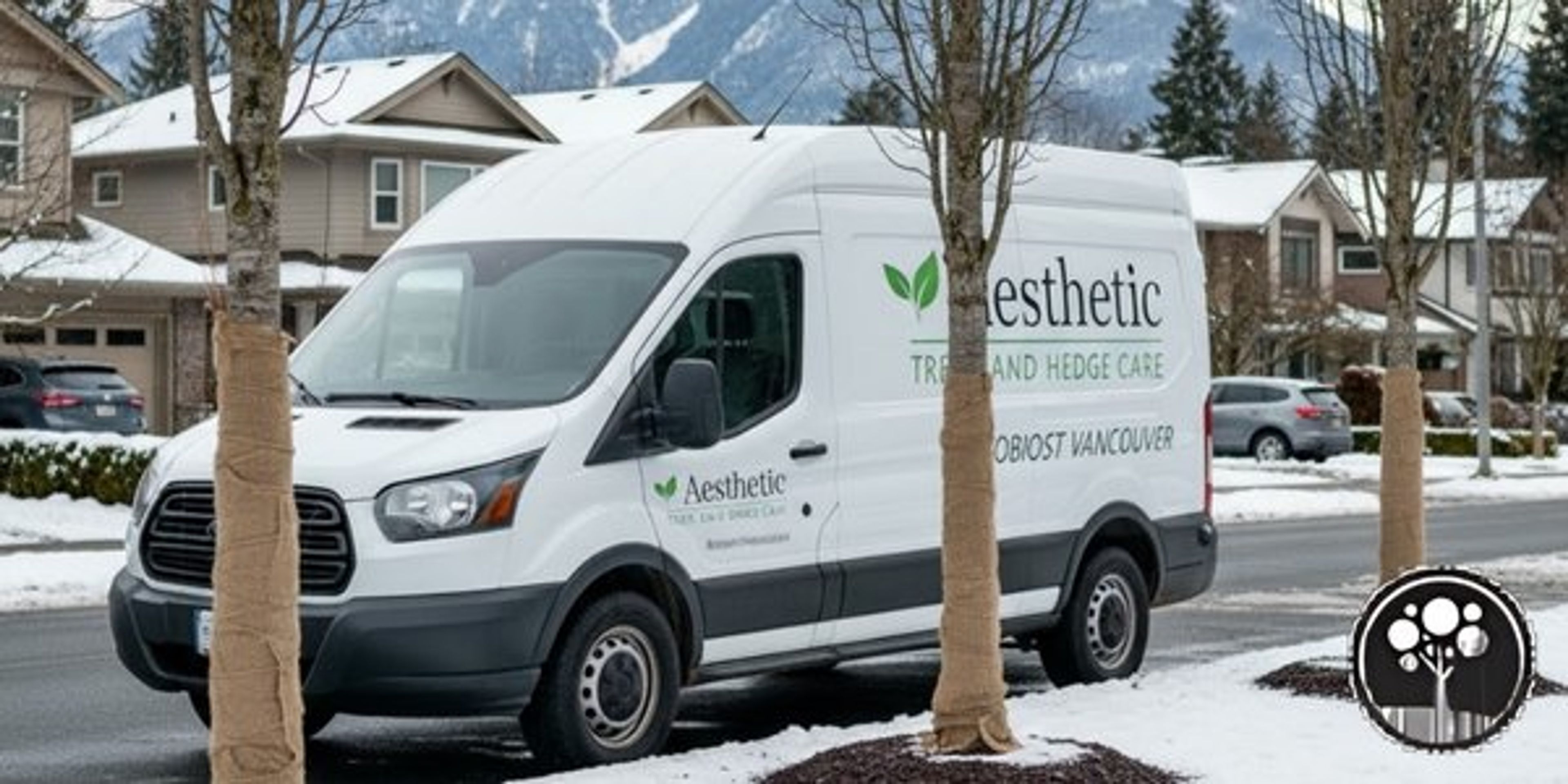 Vancouver Aesthetic Tree Service