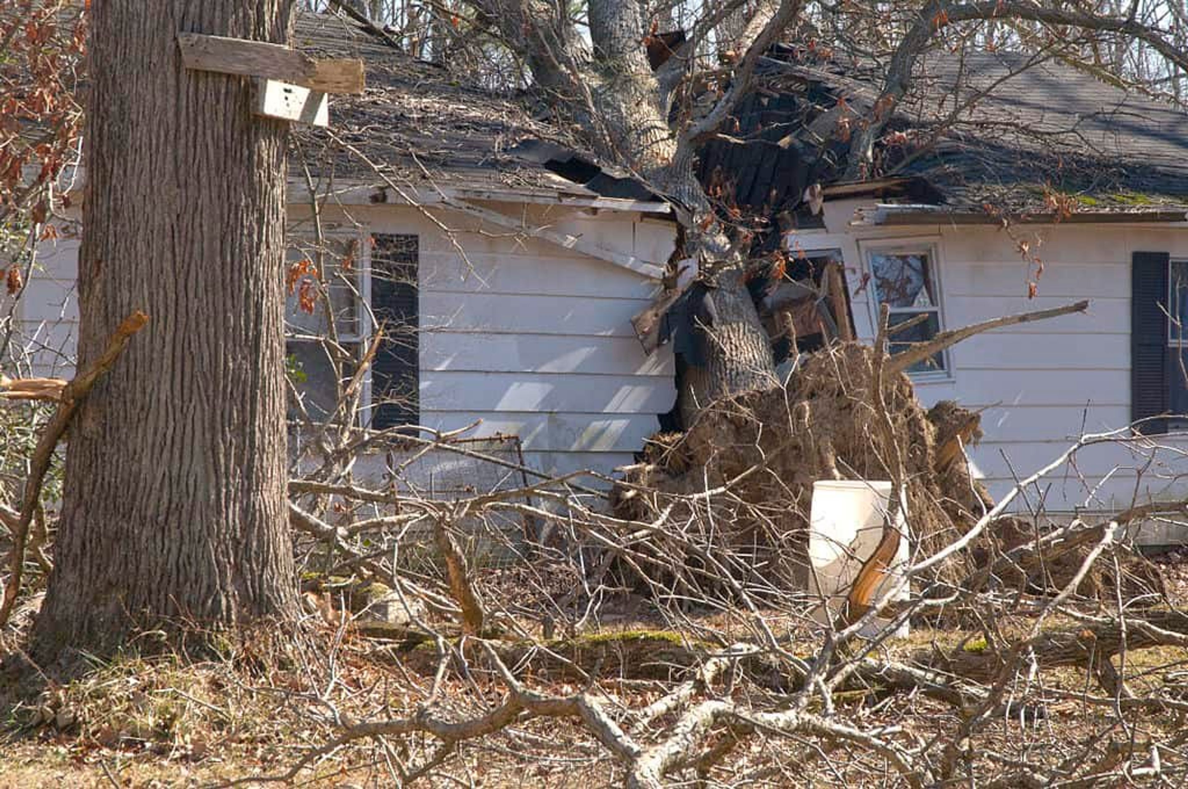 1024px FEMA   40050   House damaged by a tree in Kentucky