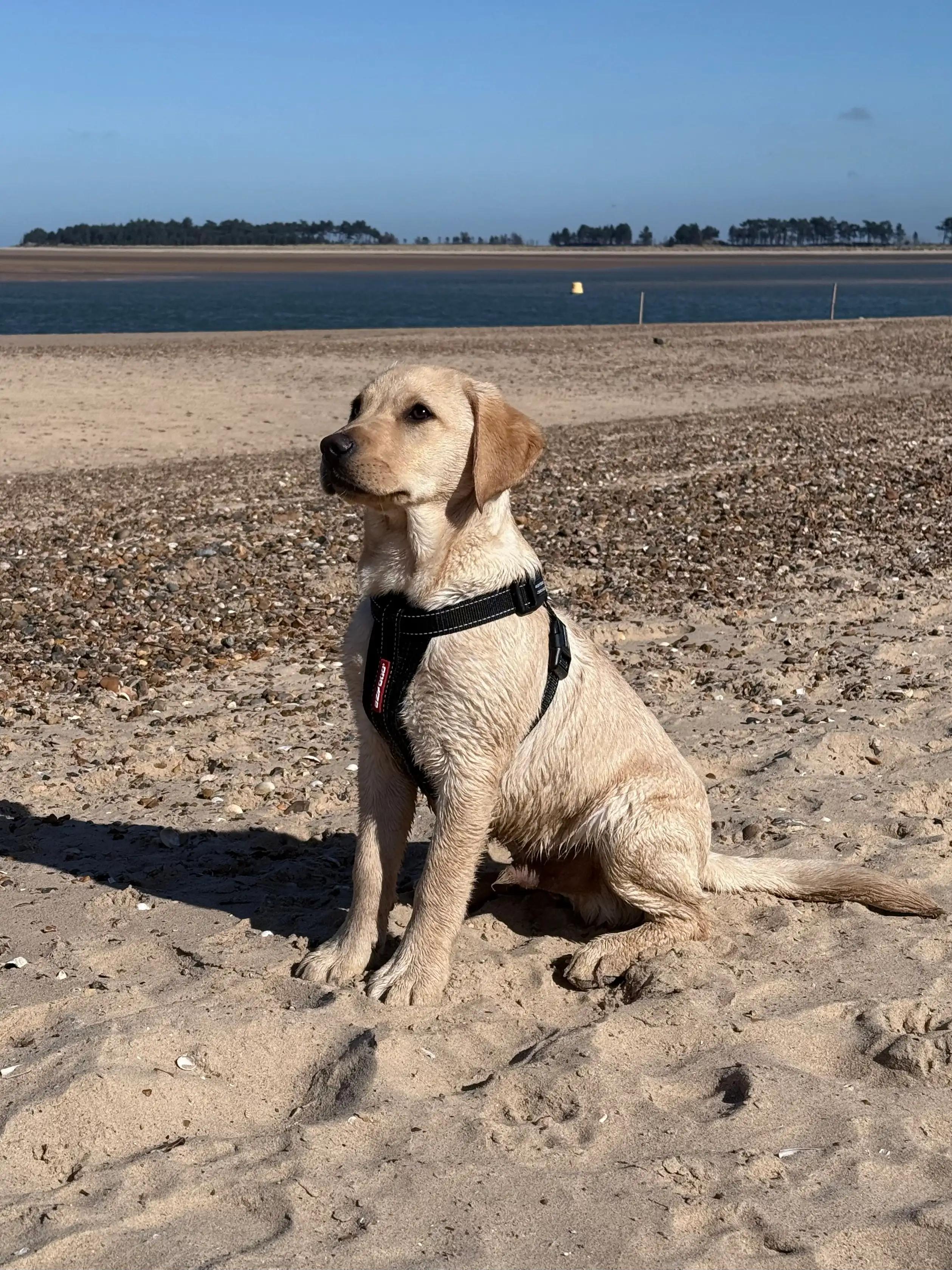 first-beach-day