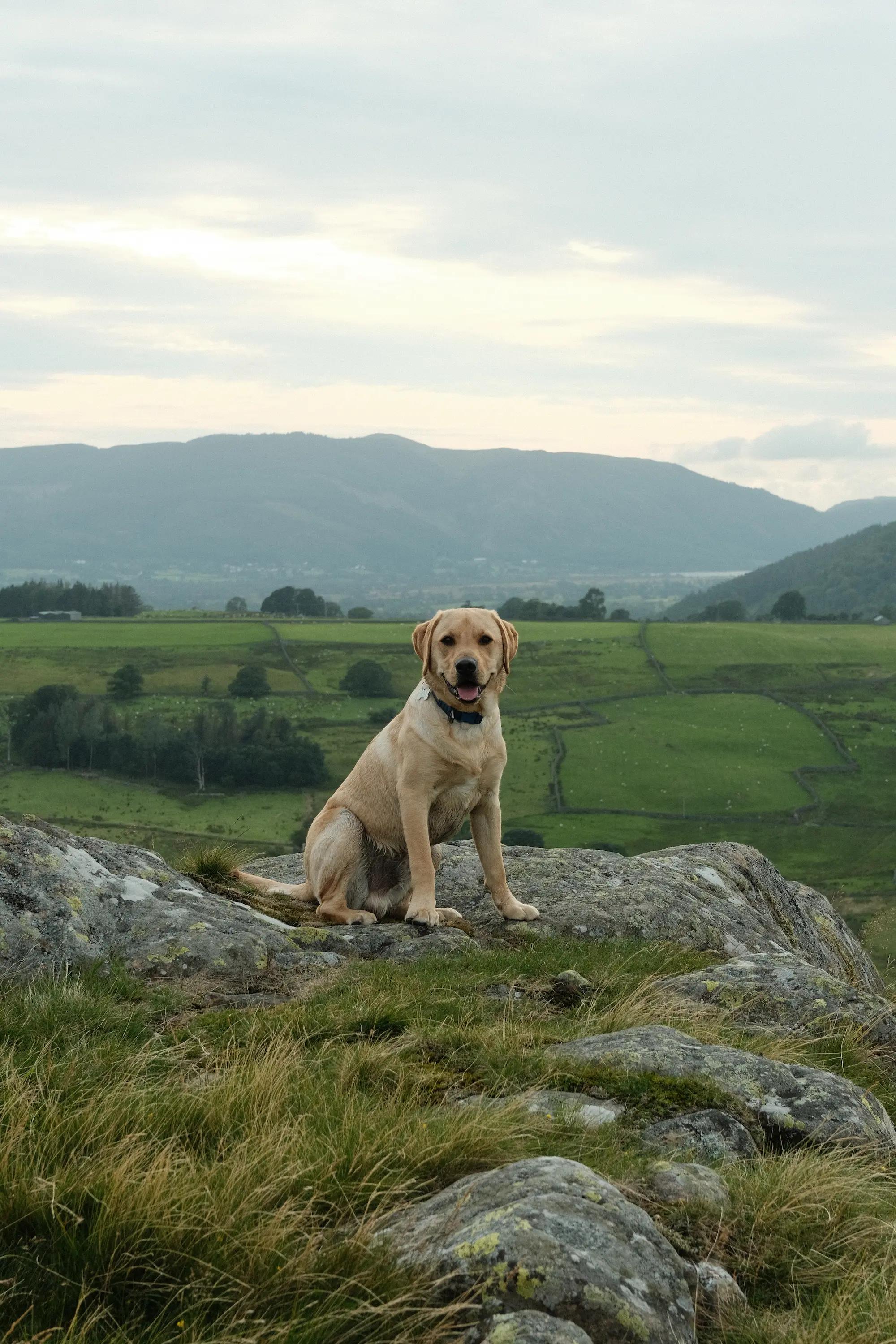 mac-lake-district