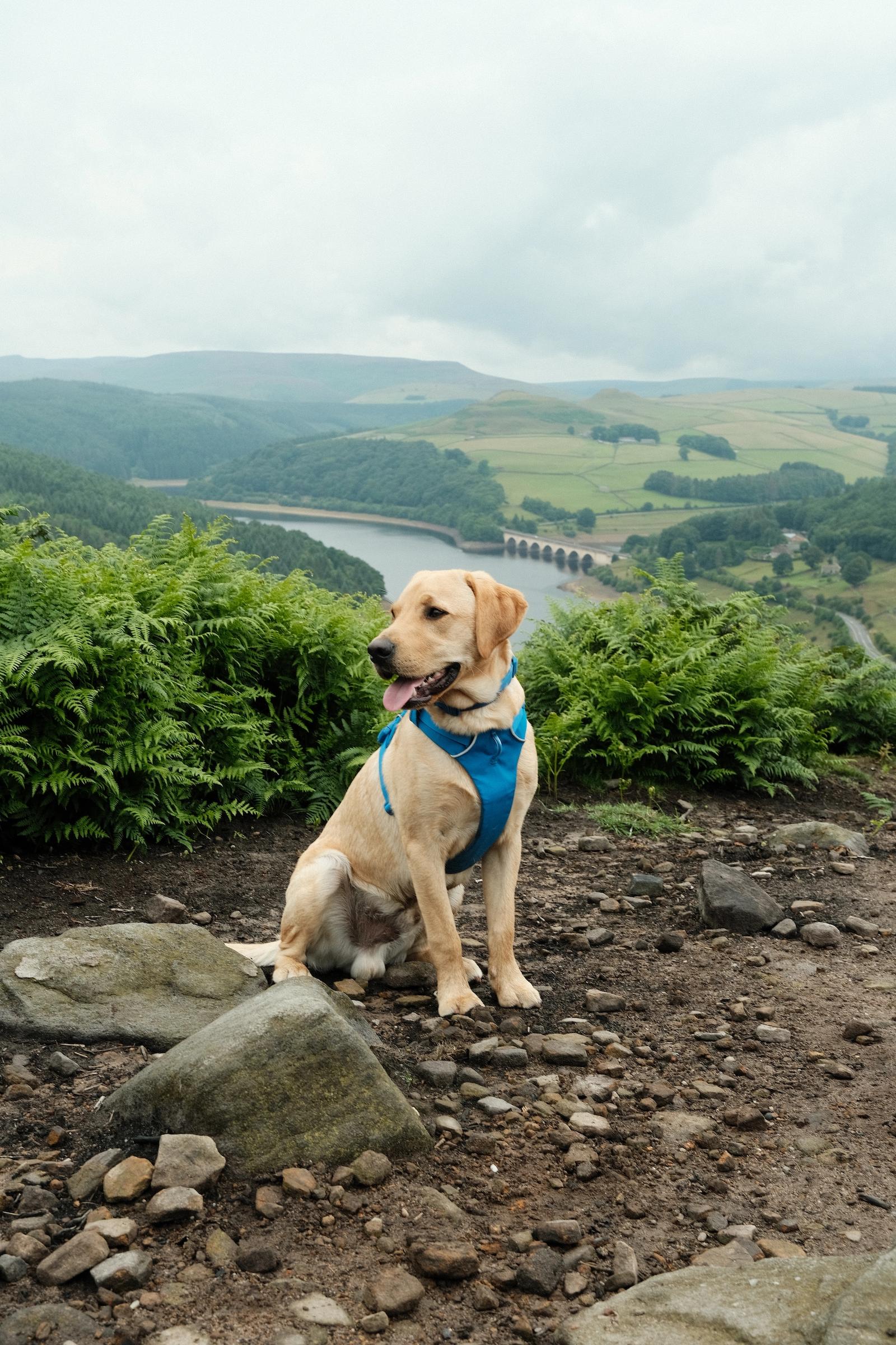 mac-first-hike-2
