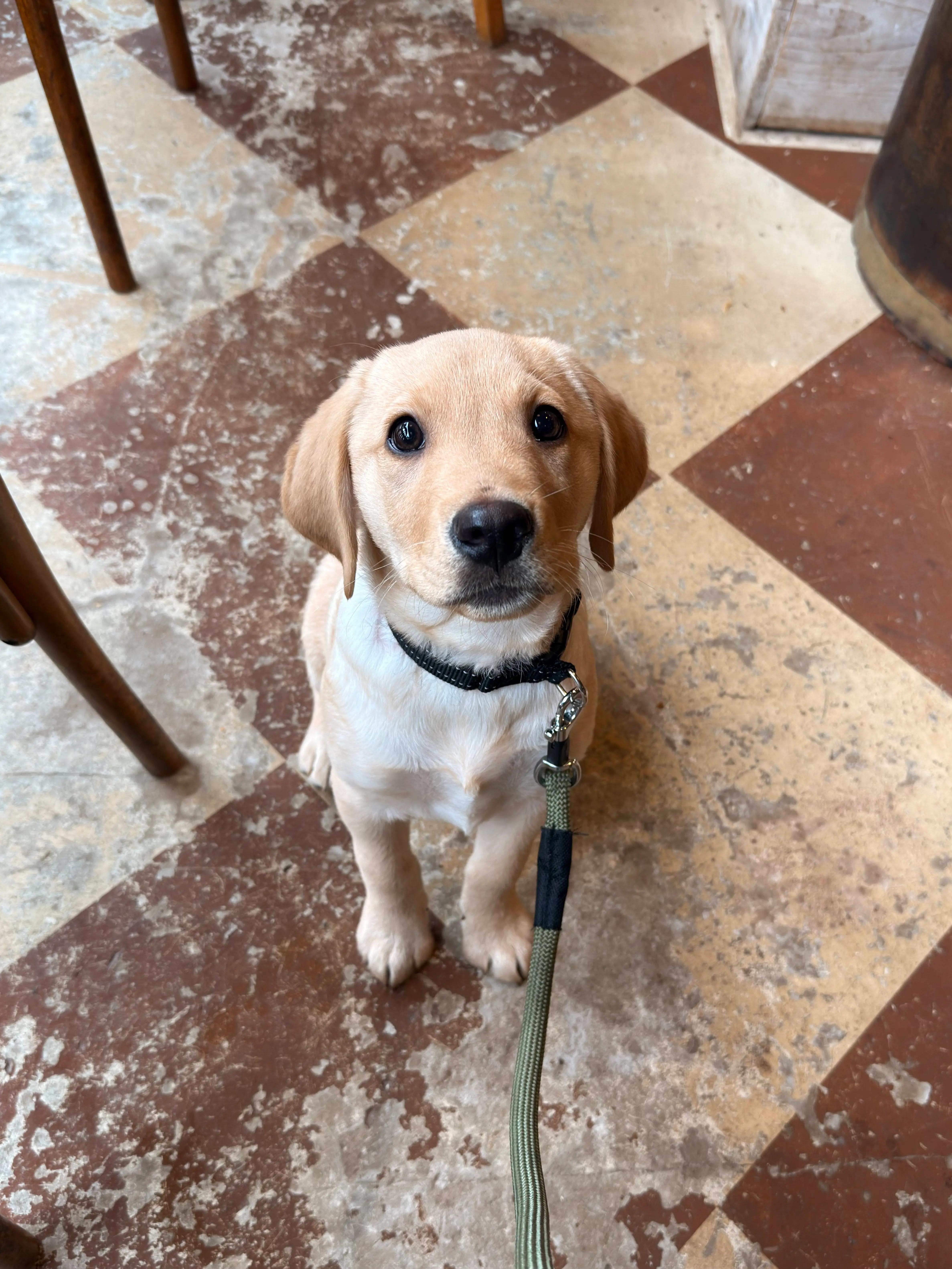 first-coffee-date