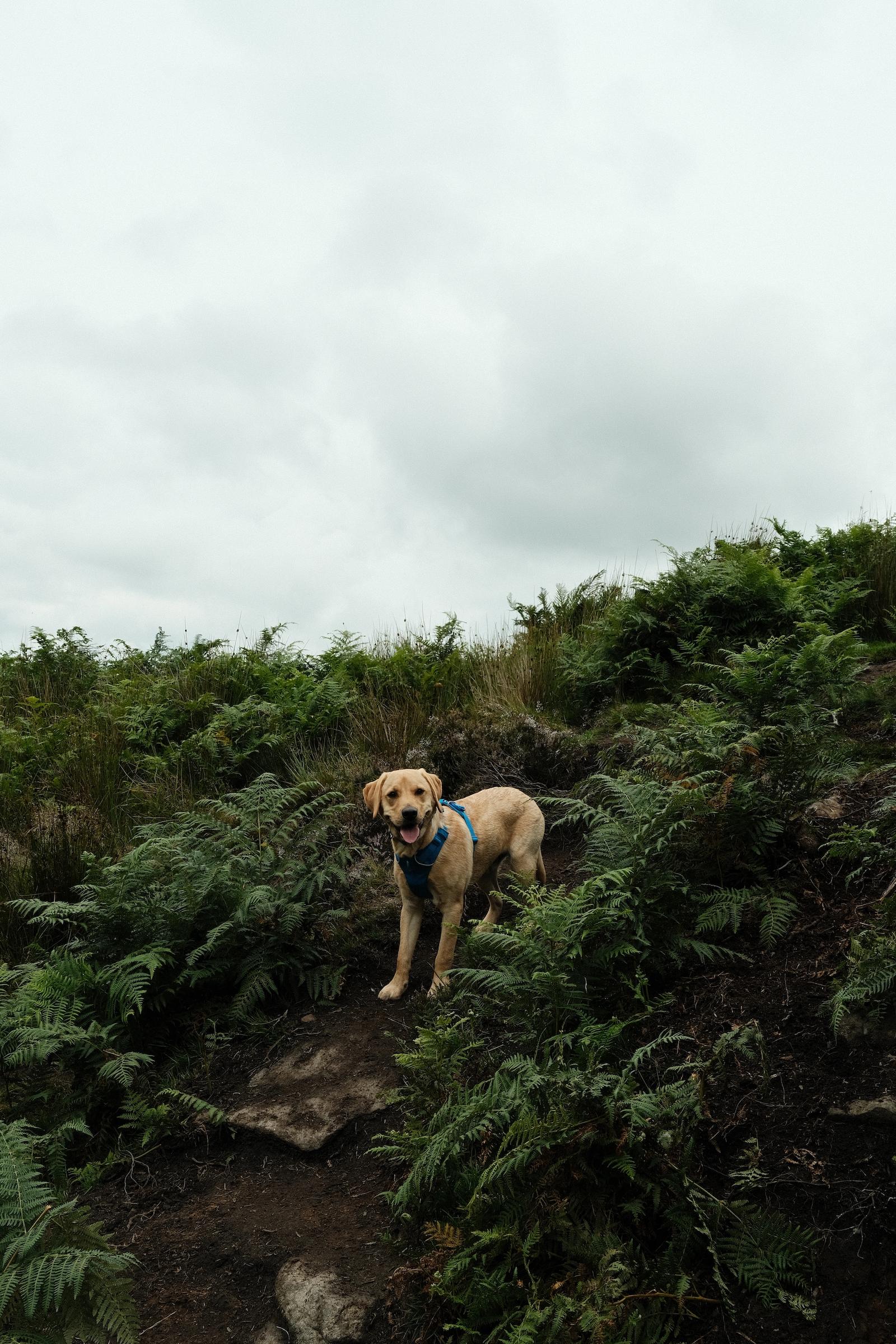 mac-first-hike-1