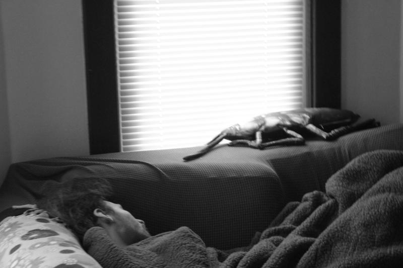 Photo in My Favorites