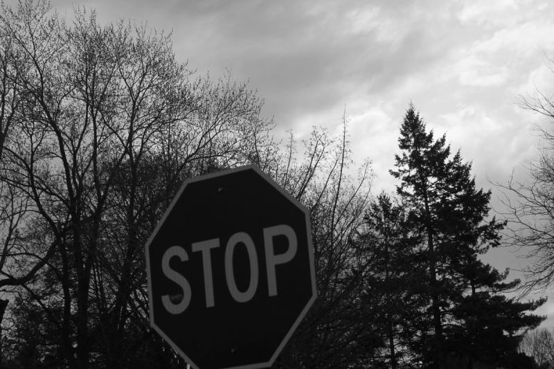 Photo in My Favorites